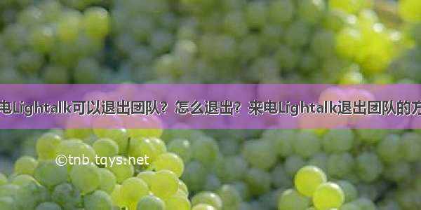 来电Lightalk可以退出团队？怎么退出？来电Lightalk退出团队的方法