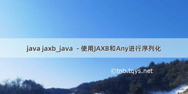 java jaxb_java  – 使用JAXB和Any进行序列化