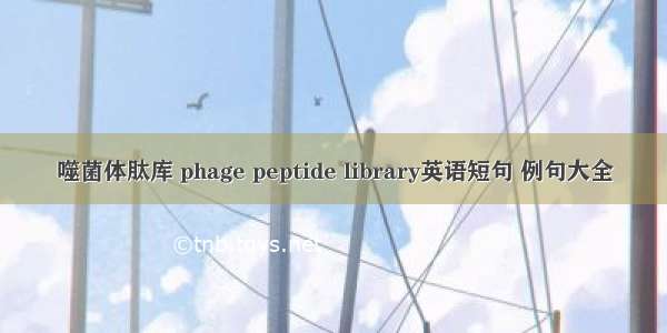 噬菌体肽库 phage peptide library英语短句 例句大全