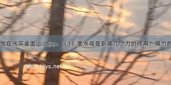 一个墨水瓶放在水平桌面上 试问：（1）墨水瓶受到哪几个力的作用？用力的示意图在图