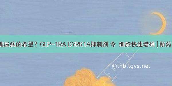 根治糖尿病的希望？GLP-1RA DYRK1A抑制剂 令β细胞快速增殖 | 新药资讯