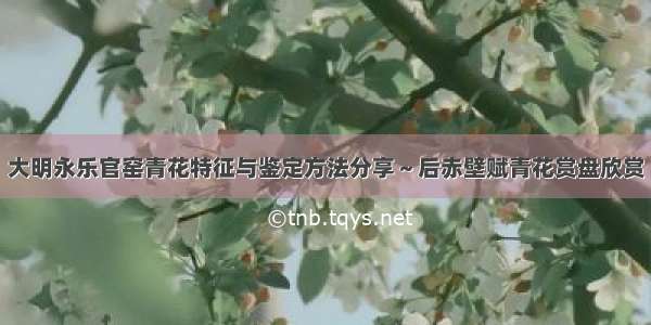 大明永乐官窑青花特征与鉴定方法分享～后赤壁赋青花赏盘欣赏