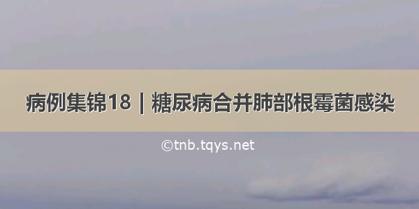 病例集锦18 | 糖尿病合并肺部根霉菌感染