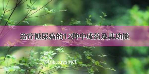 治疗糖尿病的12种中成药及其功能