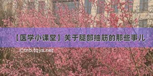 【医学小课堂】关于腿部抽筋的那些事儿