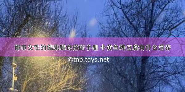 都市女性的健康膳食搭配手册 小黄鱼炖豆腐有什么营养