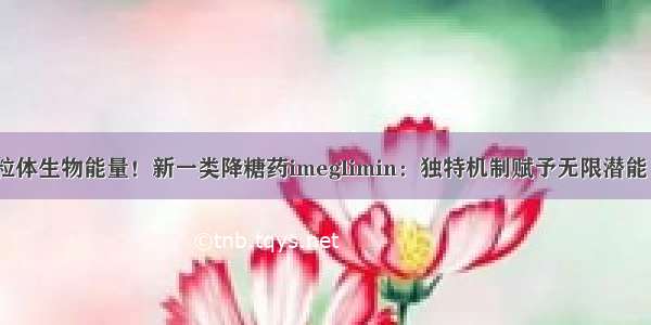 靶向线粒体生物能量！新一类降糖药imeglimin：独特机制赋予无限潜能 将上市！