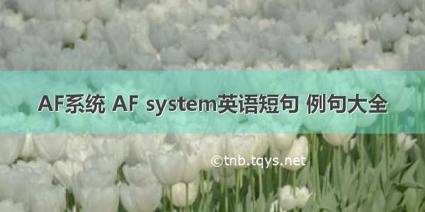 AF系统 AF system英语短句 例句大全