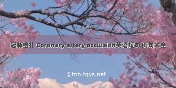 冠脉结扎 Coronary artery occlusion英语短句 例句大全