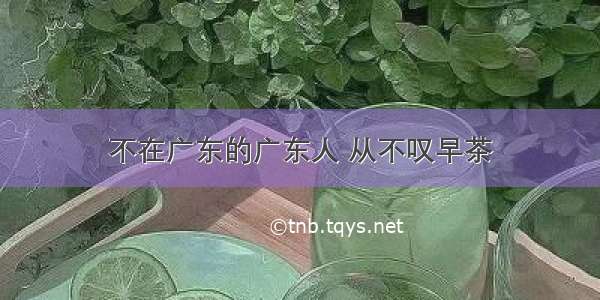 不在广东的广东人 从不叹早茶