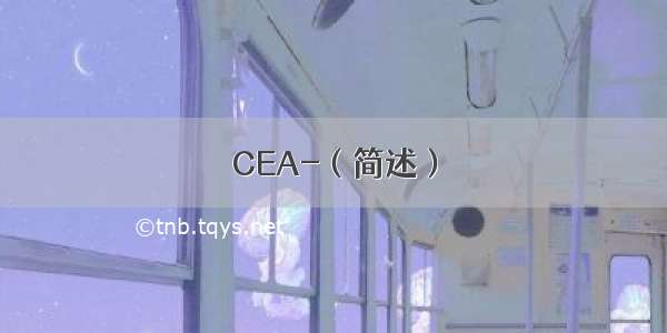 CEA-（简述）