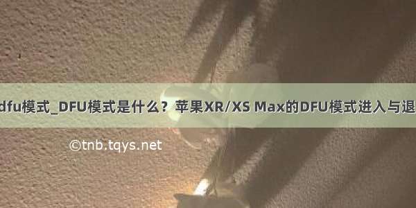 xsmax进入dfu模式_DFU模式是什么？苹果XR/XS Max的DFU模式进入与退出方法[多图]