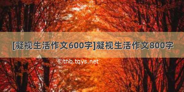 [凝视生活作文600字]凝视生活作文800字