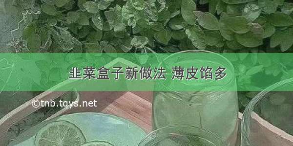 韭菜盒子新做法 薄皮馅多