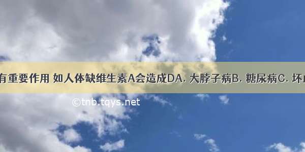 维生素对人体有重要作用 如人体缺维生素A会造成DA. 大脖子病B. 糖尿病C. 坏血病D. 夜盲症