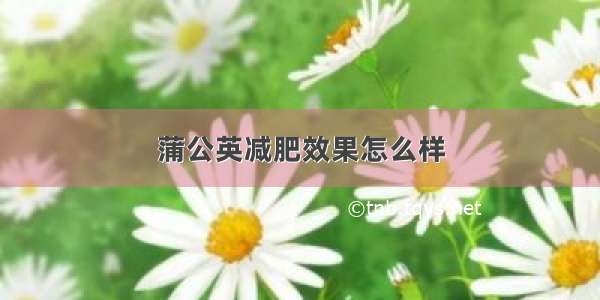 蒲公英减肥效果怎么样