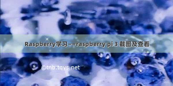 Raspberry学习——raspberry pi 3 截图及查看