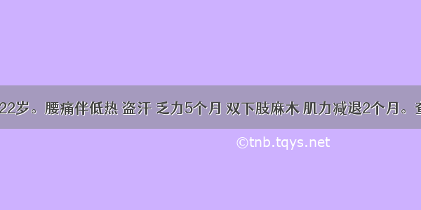 患者 女 22岁。腰痛伴低热 盗汗 乏力5个月 双下肢麻木 肌力减退2个月。查体：腰