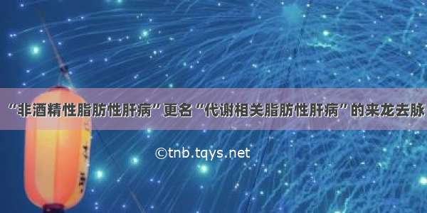 “非酒精性脂肪性肝病”更名“代谢相关脂肪性肝病”的来龙去脉