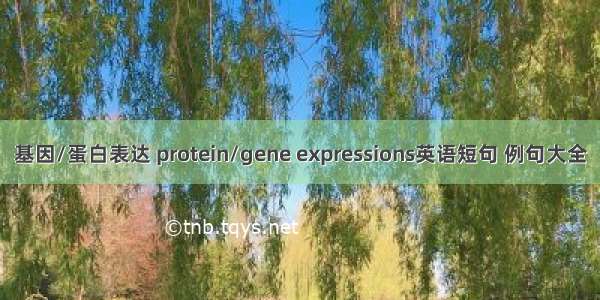 基因/蛋白表达 protein/gene expressions英语短句 例句大全