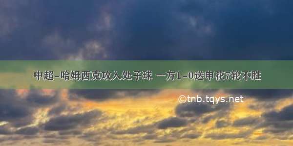 中超-哈姆西克攻入处子球 一方1-0送申花7轮不胜