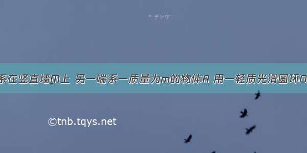 一轻绳一端系在竖直墙M上 另一端系一质量为m的物体A 用一轻质光滑圆环O穿过轻绳 并