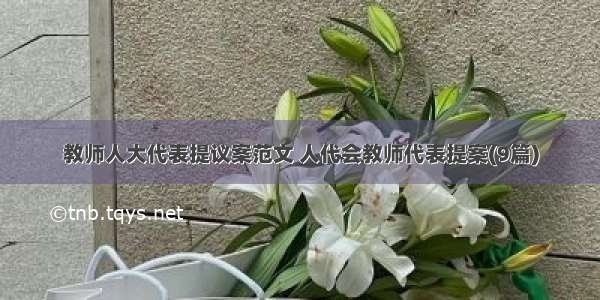 教师人大代表提议案范文 人代会教师代表提案(9篇)