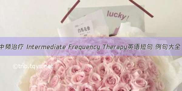 中频治疗 Intermediate Frequency Therapy英语短句 例句大全