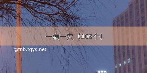 一病一穴（103个）