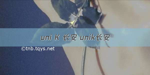 uni K 长安 unik长安