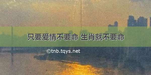 只要爱情不要命 生肖就不要命