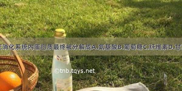 在消化系统内蛋白质最终被分解成A.氨基酸B.葡萄糖C.纤维素D.甘油