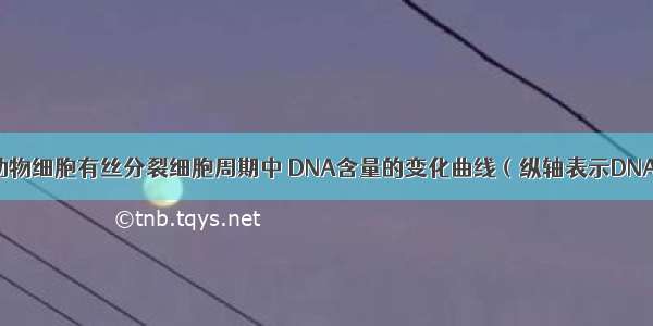 下图表示一动物细胞有丝分裂细胞周期中 DNA含量的变化曲线（纵轴表示DNA含量 横轴表