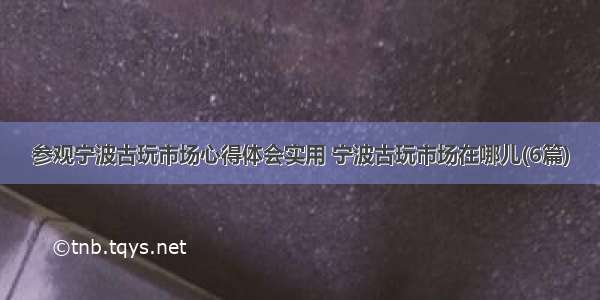 参观宁波古玩市场心得体会实用 宁波古玩市场在哪儿(6篇)