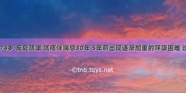 患者男性 74岁 反复咳嗽 咳痰伴喘息30年 5年前出现逐渐加重的呼吸困难 诊断为COP