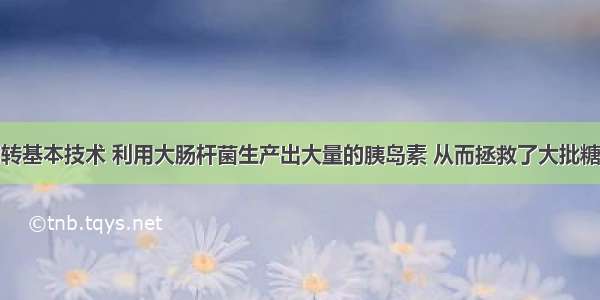 科学家运用转基本技术 利用大肠杆菌生产出大量的胰岛素 从而拯救了大批糖尿病患者之