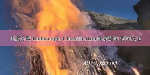 内镜分型 Endoscopic Classification英语短句 例句大全