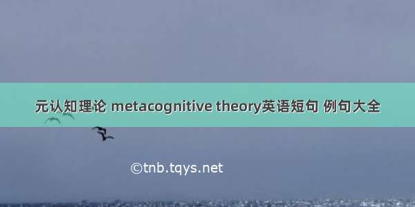 元认知理论 metacognitive theory英语短句 例句大全