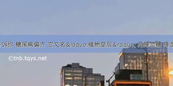 102岁老爷爷告诉你 糖尿病偏方 它又名“植物皇后” 是降血糖 降血脂 降血压最厉