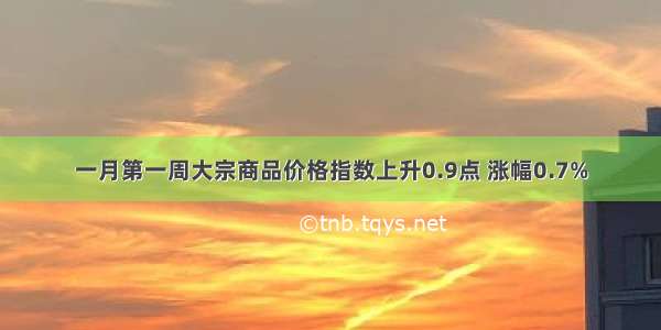 一月第一周大宗商品价格指数上升0.9点 涨幅0.7%