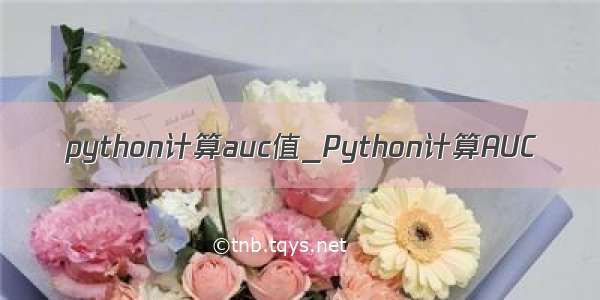 python计算auc值_Python计算AUC