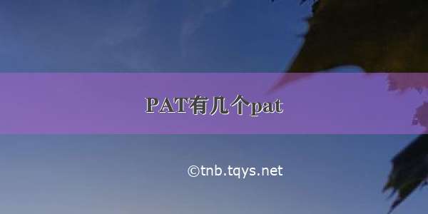 PAT有几个pat