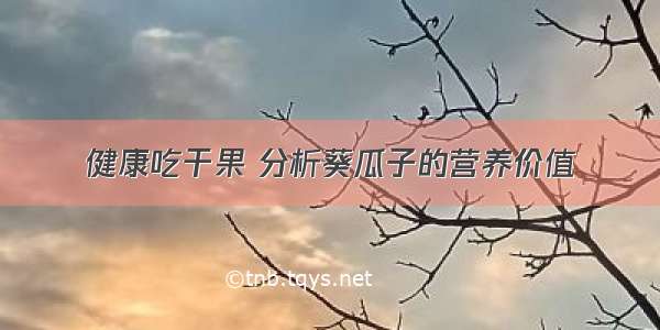 健康吃干果 分析葵瓜子的营养价值