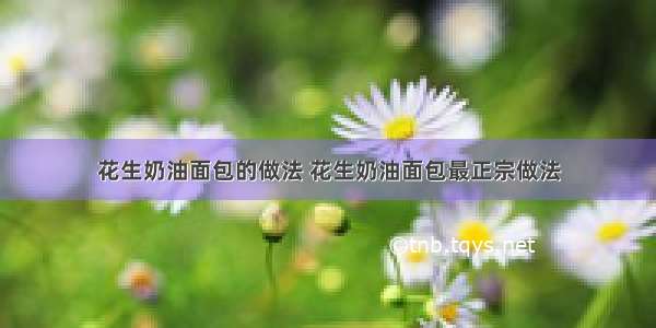 花生奶油面包的做法 花生奶油面包最正宗做法