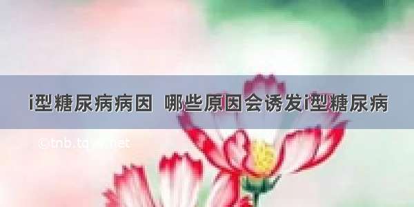 i型糖尿病病因  哪些原因会诱发i型糖尿病