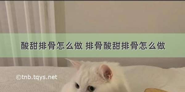 酸甜排骨怎么做 排骨酸甜排骨怎么做