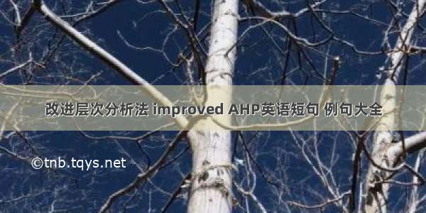 改进层次分析法 improved AHP英语短句 例句大全