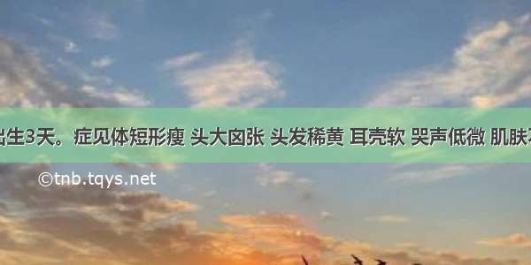 患儿 出生3天。症见体短形瘦 头大囟张 头发稀黄 耳壳软 哭声低微 肌肤不温 指