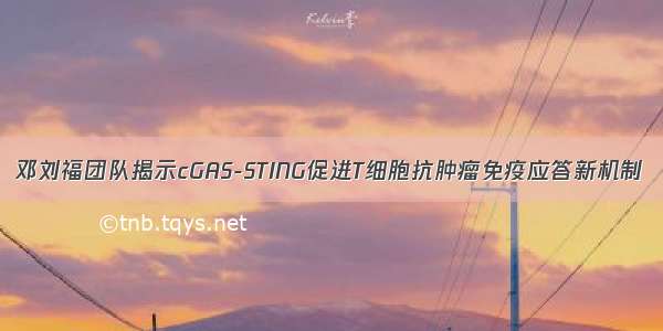 邓刘福团队揭示cGAS-STING促进T细胞抗肿瘤免疫应答新机制