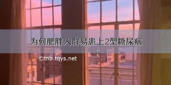 为何肥胖人群易患上2型糖尿病